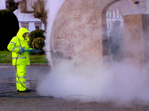 Best Roof Power Washing Services  in Hamton, IL