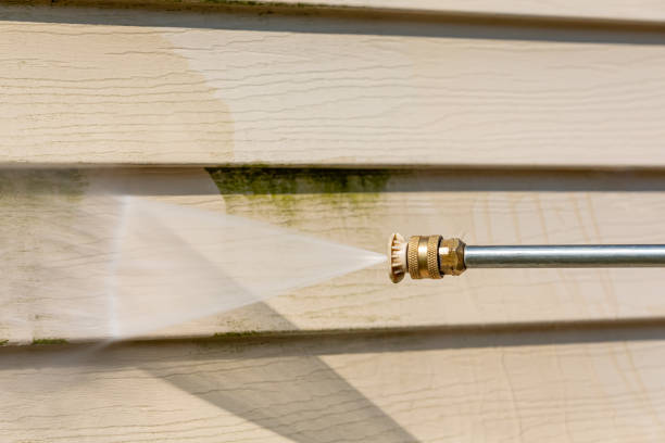 Best Commercial Pressure Washing  in Hamton, IL