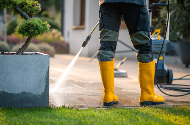 Best Fence Pressure Washing  in Hamton, IL